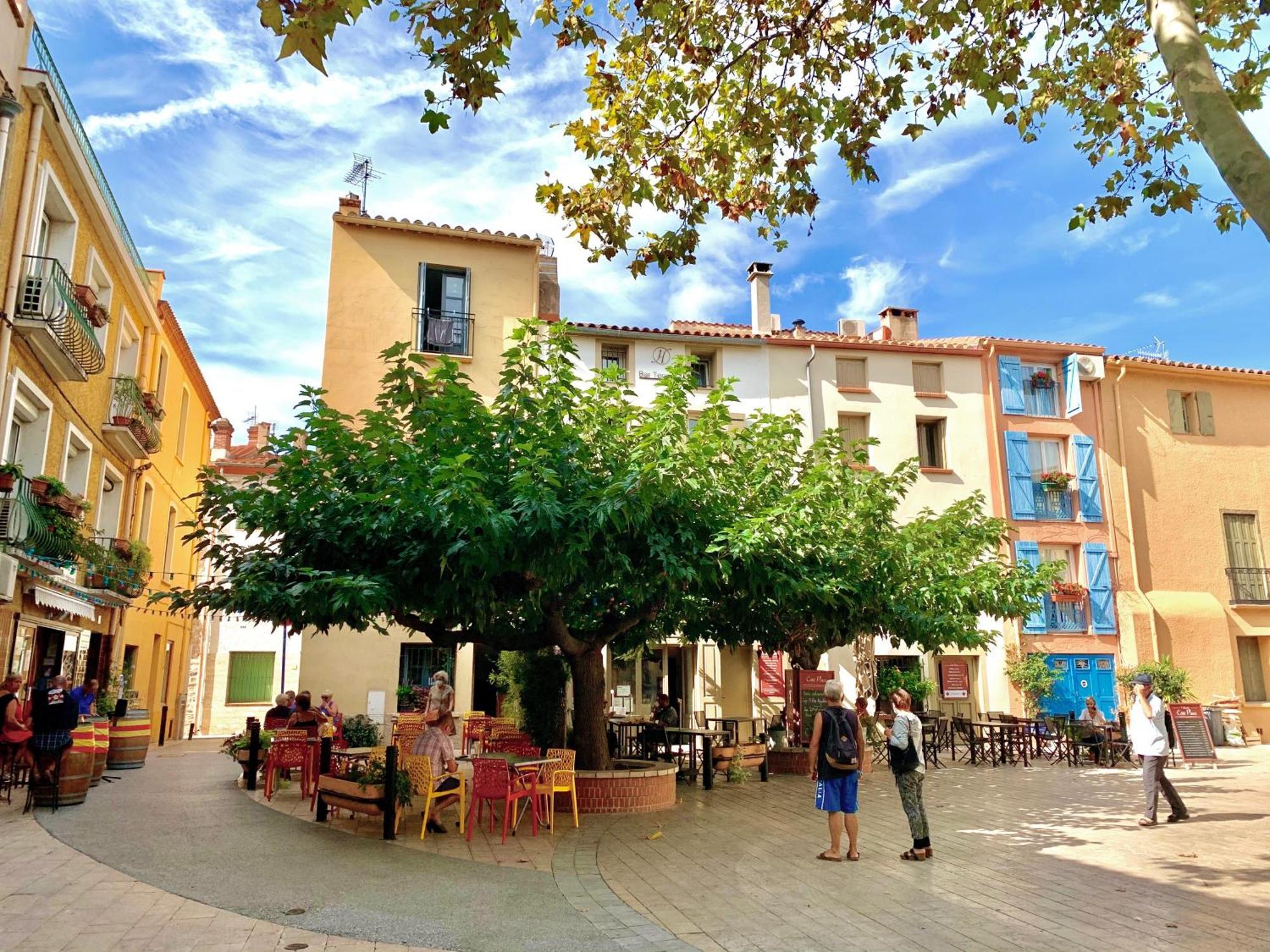 Maison De Flo Centre Historique Argeles Sur Mer Esterno foto